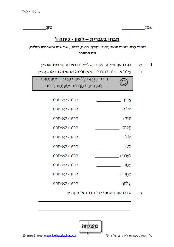 מבחן בלשון לכיתה ו - שמות עצם, שמות תואר (יחיד, יחידה, רבים, רבות), שורשים ומשפחות מילים, שם המספר
